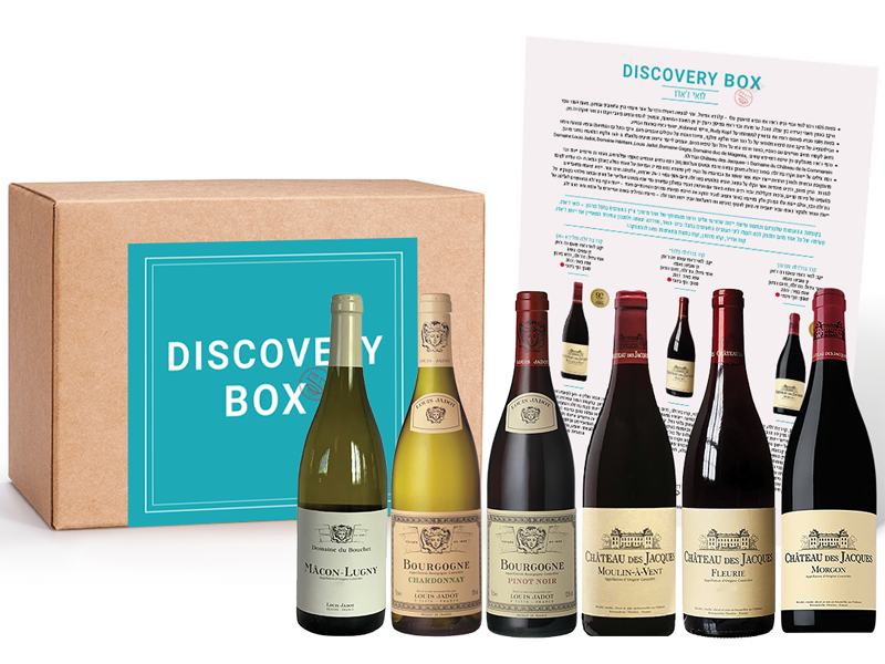 דיסקברי בוקס- מגלים את דומיין לואי ז'אדו